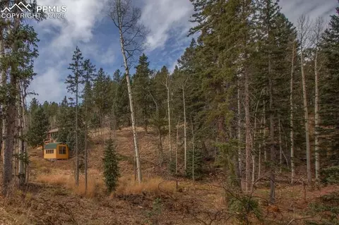 361 Willow Rd, Divide, CO 80814 photo 27