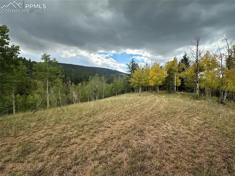 1117 Yorktown Rd, Cripple Creek, CO 80813