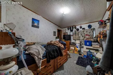 17455 Max Rd, Peyton, CO 80831 photo 34