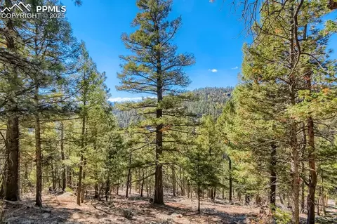 0 Elsie Rd, Conifer, CO 80433