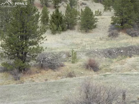 521 Monarch Dr, Cripple Creek, CO 80813