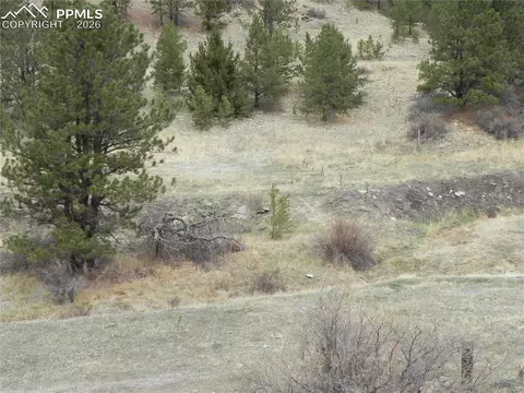 521 Monarch Dr, Cripple Creek, CO 80813