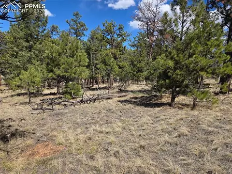 227 Calle Del Sol Na Na, Florissant, CO 80816