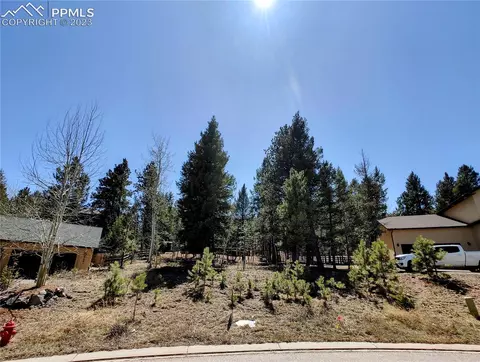 651 Misty Pines Cir, Woodland Park, CO 80863