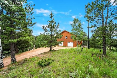 2227 Blue Mesa Dr, Divide, CO 80814 photo 9