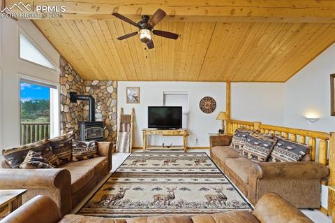 2227 Blue Mesa Dr, Divide, CO 80814 photo 16