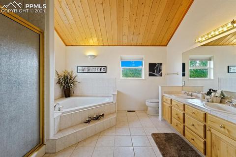2227 Blue Mesa Dr, Divide, CO 80814 photo 33
