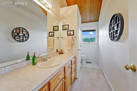 2227 Blue Mesa Dr, Divide, CO 80814 photo 29