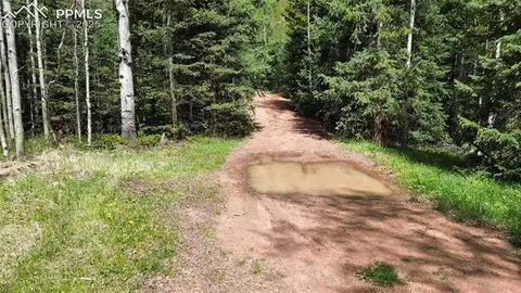 Four Mile Road, Divide, CO 80814 photo 29