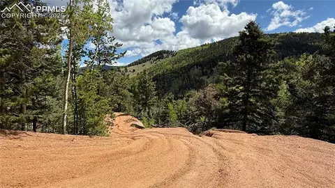 Four Mile Road, Divide, CO 80814 photo 47