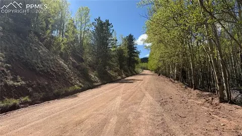 Four Mile Road, Divide, CO 80814 photo 31