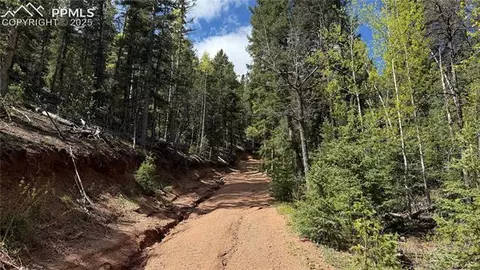 Four Mile Road, Divide, CO 80814 photo 33