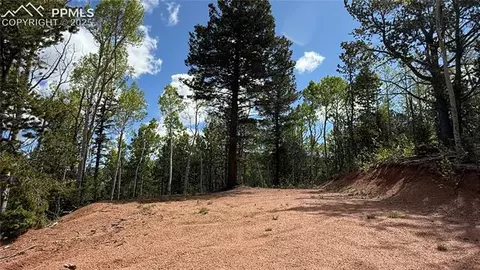 Four Mile Road, Divide, CO 80814 photo 40