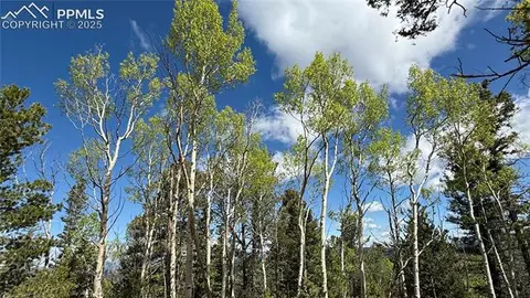 Four Mile Road, Divide, CO 80814 photo 44