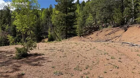 Four Mile Road, Divide, CO 80814 photo 38