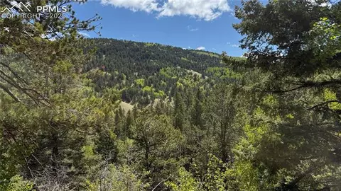 Four Mile Road, Divide, CO 80814 photo 34