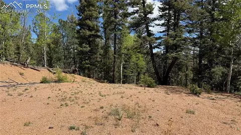 Four Mile Road, Divide, CO 80814 photo 37