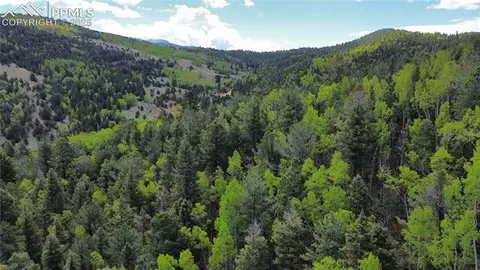 Four Mile Road, Divide, CO 80814 photo 16