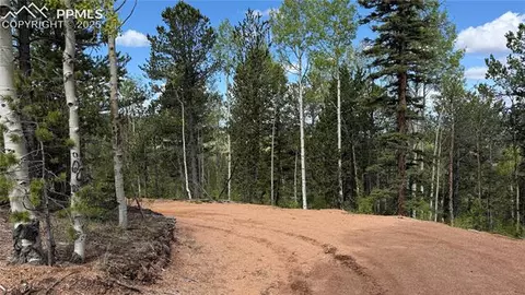 Four Mile Road, Divide, CO 80814 photo 46