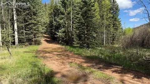 Four Mile Road, Divide, CO 80814 photo 4
