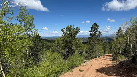 Four Mile Road, Divide, CO 80814 photo 41