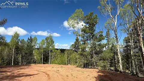 Four Mile Road, Divide, CO 80814 photo 43