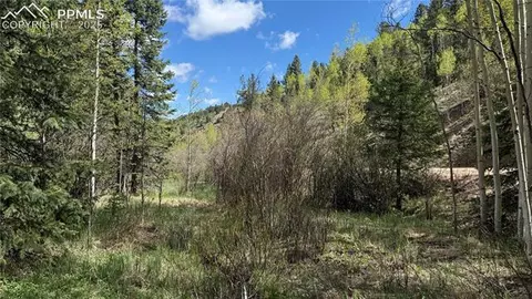 Four Mile Road, Divide, CO 80814 photo 32