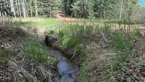 Four Mile Road, Divide, CO 80814 photo 3