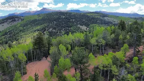 Four Mile Road, Divide, CO 80814 photo 21