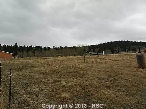 132 Elfin Glen Dr, Divide, CO 80814 photo 13