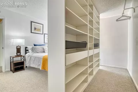 Other - 379 Raspberry Ln, Monument, CO 80132 photo 4 of 10