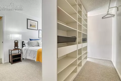 Other - 379 Raspberry Ln, Monument, CO 80132 photo 4 of 8