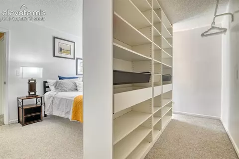 379 Raspberry Ln, Monument, CO 80132 photo 21