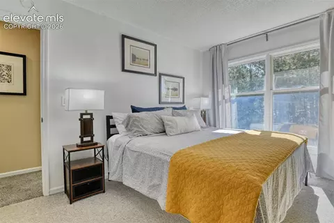 379 Raspberry Ln, Monument, CO 80132 photo 19