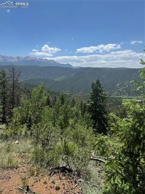 8743 High Mark Pt, Woodland Park, CO 80863