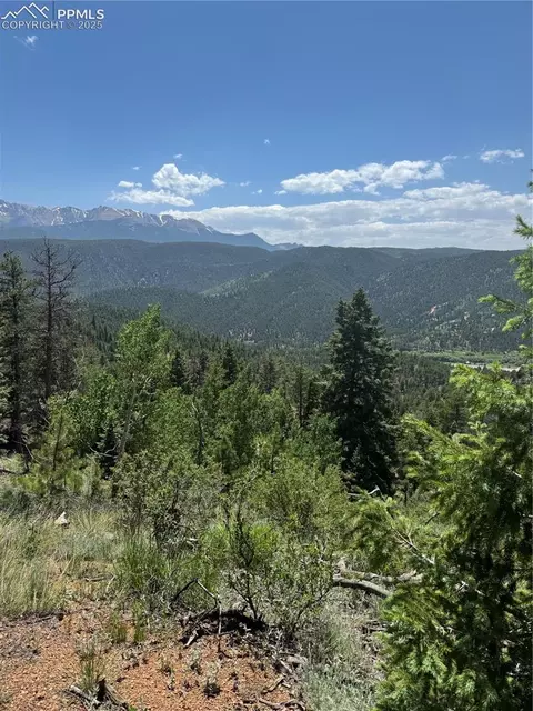 8743 High Mark Pt, Woodland Park, CO 80863
