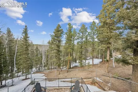 713 Spring Valley Dr, Divide, CO 80814 photo 38