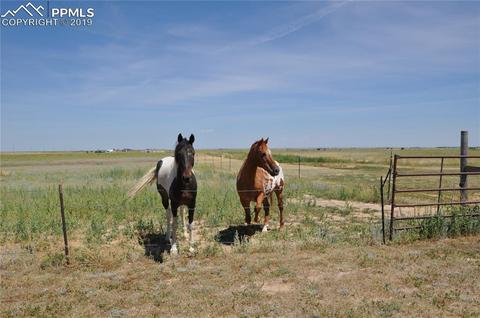 36825 E Jones Rd, Yoder, CO 80864 photo 34