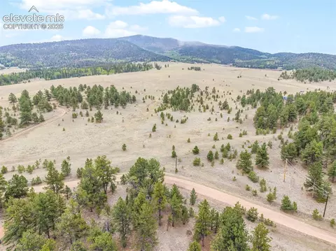 Ranger Station Road, Florissant, CO 80846