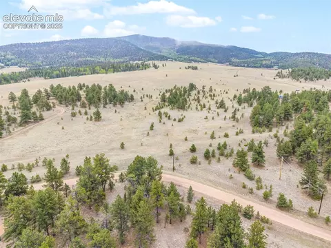 Ranger Station Road, Florissant, CO 80846