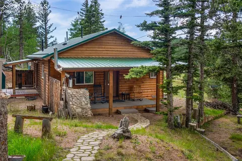 173 Chalk Creek Trl, Florissant, CO 80816
