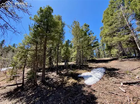 55 Hemitite Ln, Divide, CO 80814 photo 1