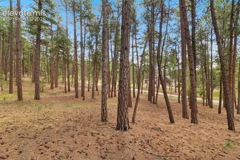 140 E Stirrup Trl, Monument, CO 80132 photo 9