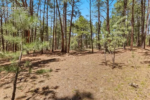 140 E Stirrup Trl, Monument, CO 80132 photo 16