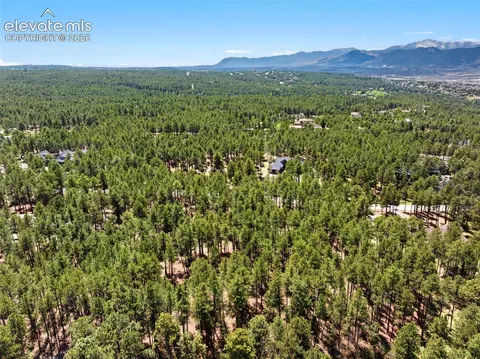 140 E Stirrup Trl, Monument, CO 80132 photo 21