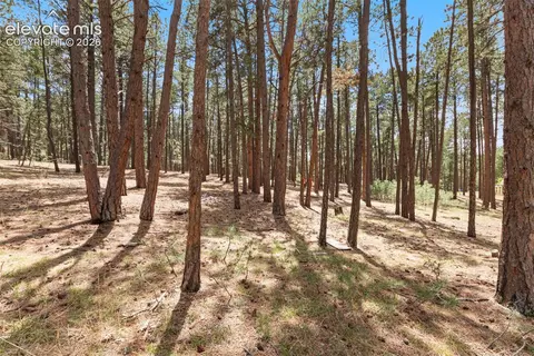 140 E Stirrup Trl, Monument, CO 80132 photo 12