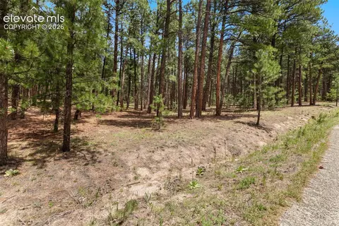 140 E Stirrup Trl, Monument, CO 80132 photo 7