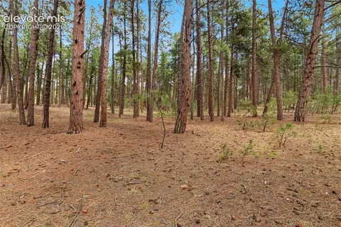 140 E Stirrup Trl, Monument, CO 80132 photo 8