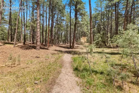 140 E Stirrup Trl, Monument, CO 80132 photo 17