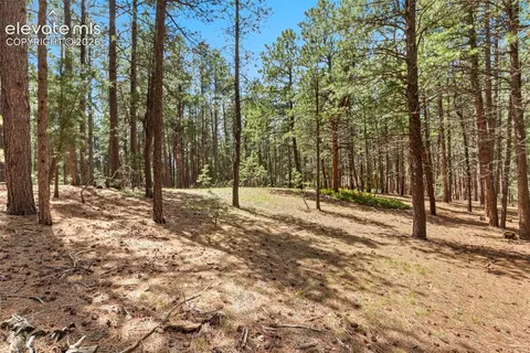 140 E Stirrup Trl, Monument, CO 80132 photo 13